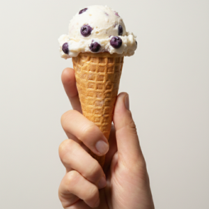 Helado de Arroz con arándano- 12 litros